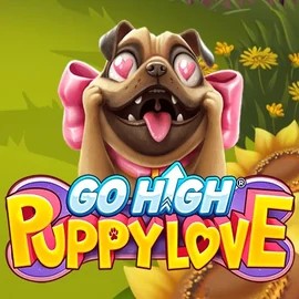 Play Go High Puppy Love slot by RubyPlay on slotorocasino.eu
